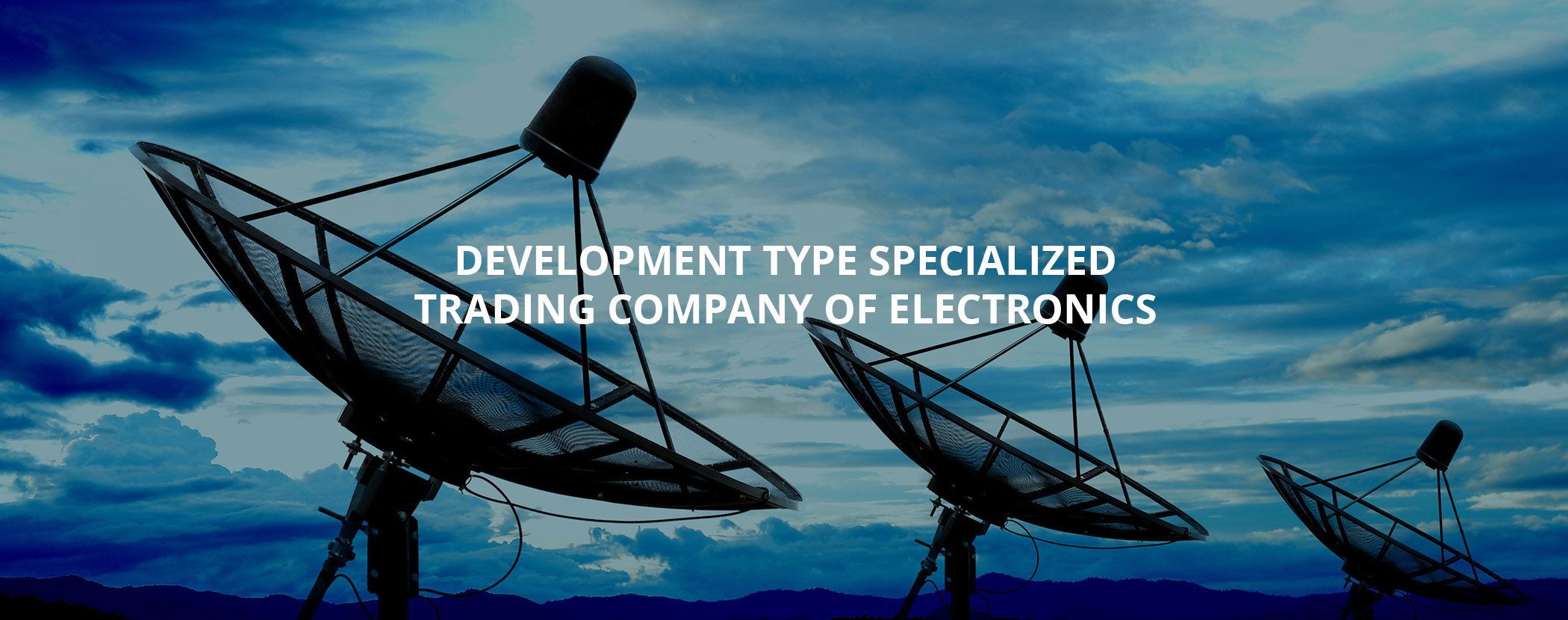 Development type specialized
trading company of electronics
